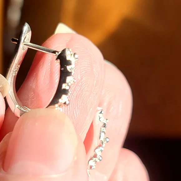 Gorgeous deep red Garnets & little red Tourmaline pinecone branch earrings - Picture 6 of 7